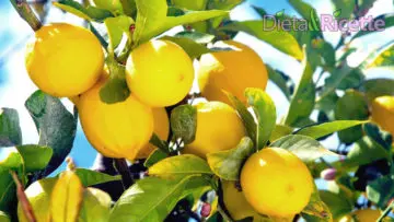 Benefici del Limone: Fa bene alla salute e fa dimagrire